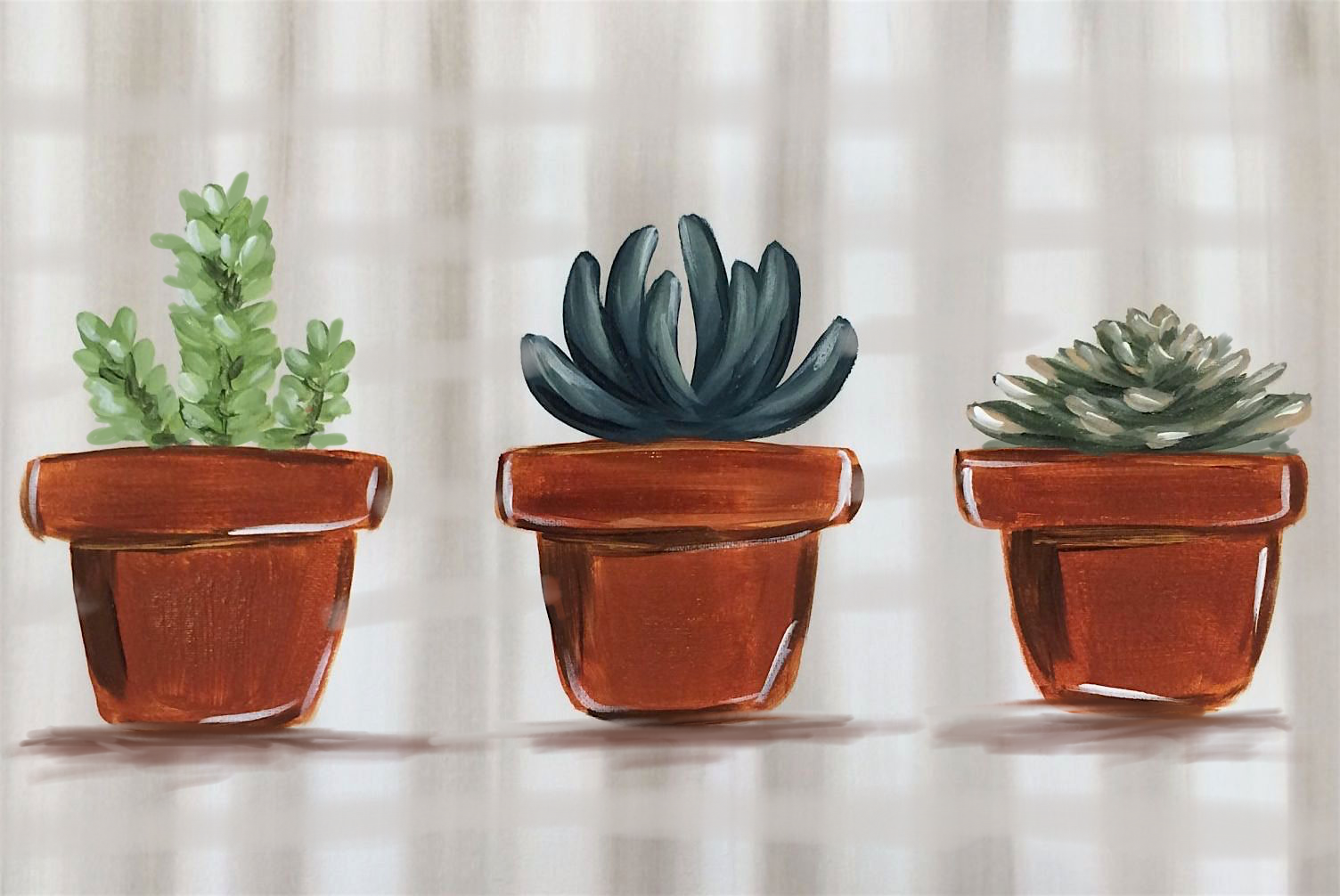 Three Little Succulents