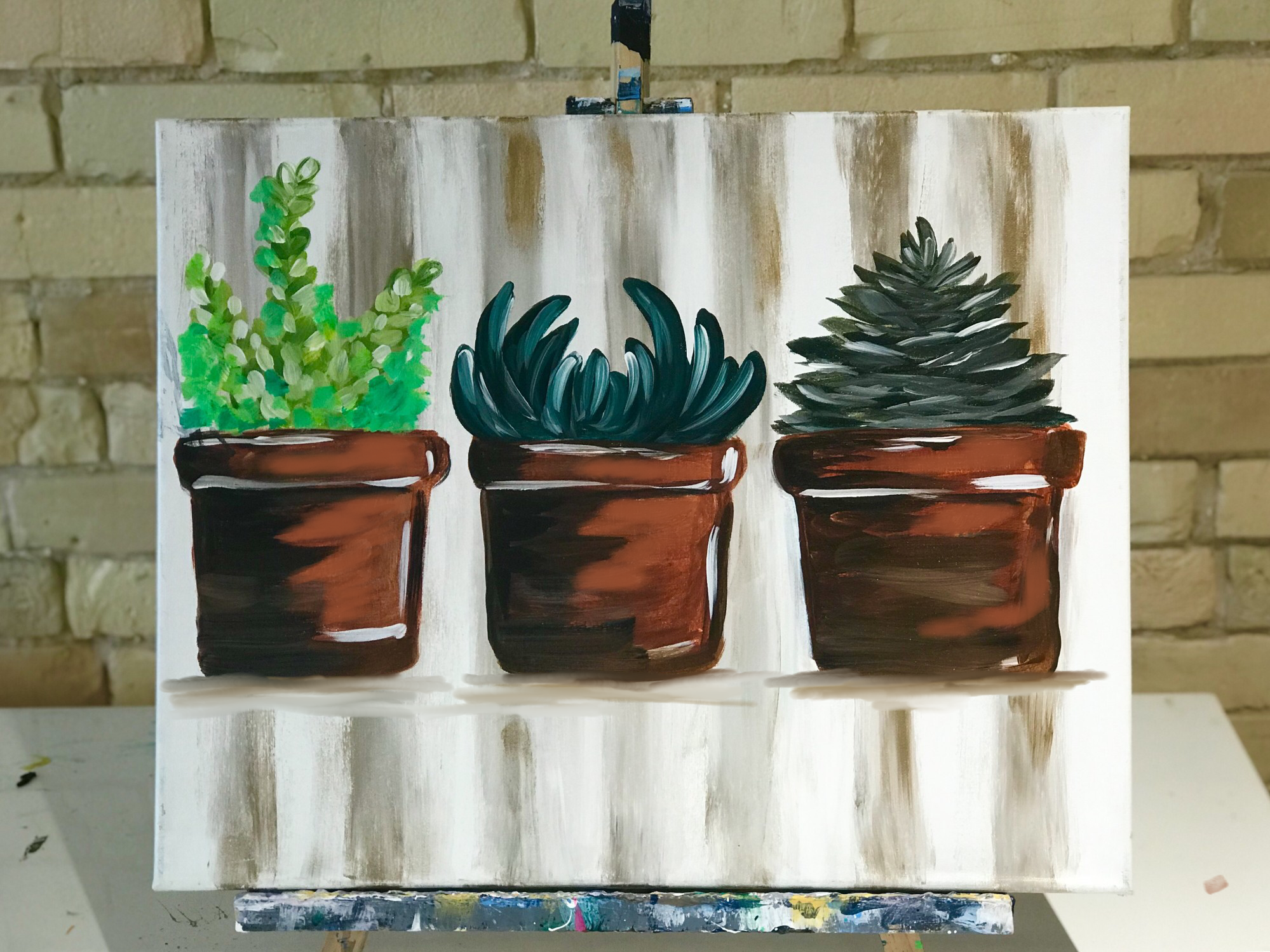 Plant Trio $30!